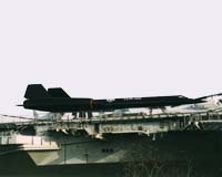 06925
